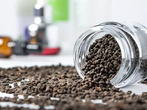 Bakuchiol: Die Antwort der Natur für fortschrittliche Hautpflege und Gesundheitsinnovationen