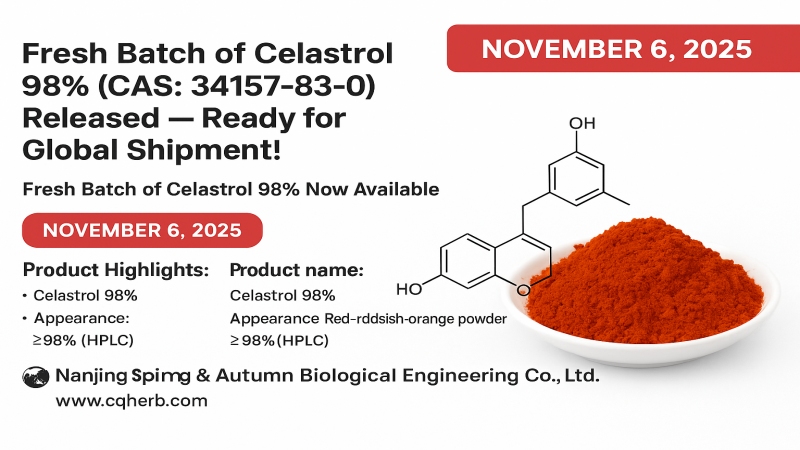 Fresh Batch of Celastrol 98% (CAS: 34157-83-0) Released — Ready for Global Shipment!