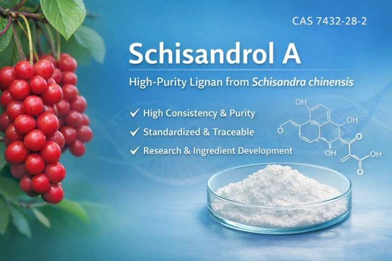 Schisandrol A (CAS 7432-28-2): Ein hochreines Lignan aus Schisandra chinensis für Forschung und Inhaltsstoffentwicklung