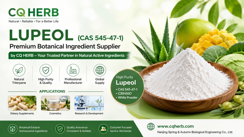 CQ HERB Lupeol Lieferant & Hersteller | Hochreines Lupeol CAS 545-47-1