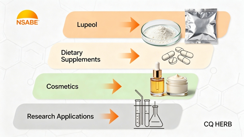 Applications of Lupeol in supplement cosmetic and research industries