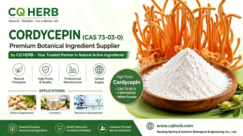 CQ HERB Cordycepin 98% Lieferant & Hersteller | Cordycepin CAS 73-03-0