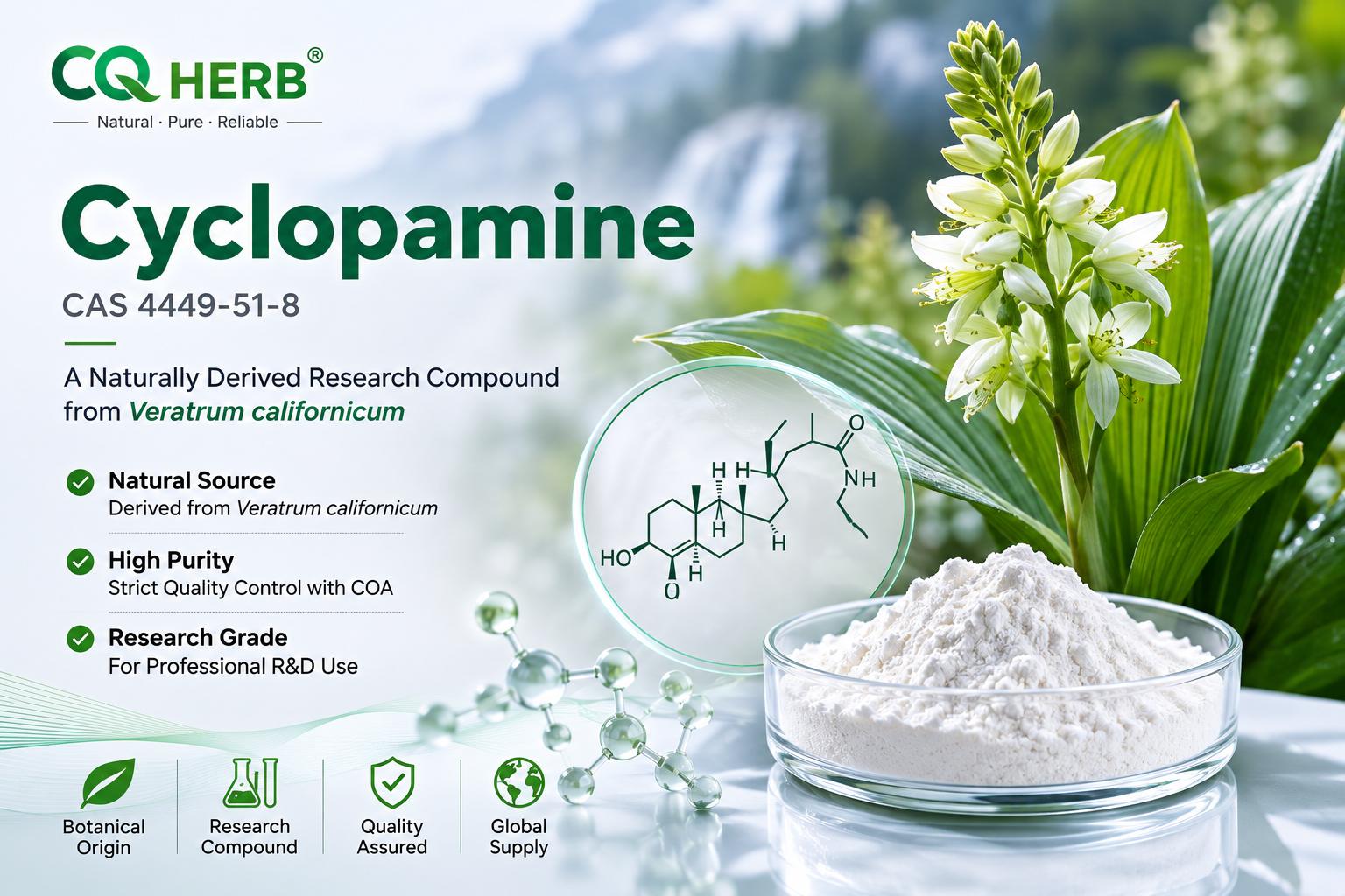 Cyclopamin (CAS 4449-51-8): Rechercheleitfaden, chemische Informationen, botanische Quelle und Hintergrundinformationen zum Hedgehog-Stoffwechselweg