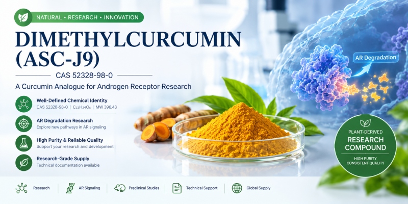 Dimethylcurcumin (ASC-J9) CAS 52328-98-0: Chemische Eigenschaften, Androgenrezeptorforschung, Anwendungen & Einkaufsführer