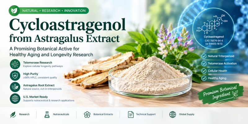 Astragalus-Extrakt Cycloastragenol: US-Marktführer, Telomeraseforschung, Anwendungen & Lieferantenauswahl
