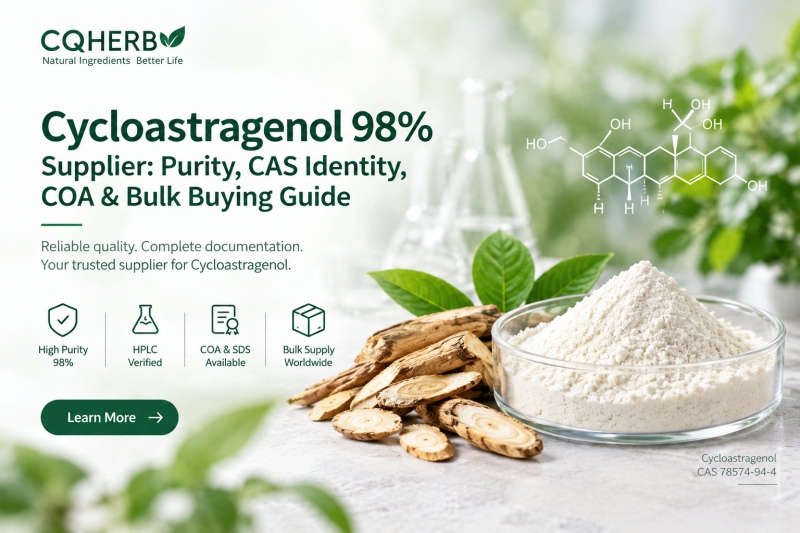 Cycloastragenol 98 % Lieferant: Reinheit, CAS-Nummer & Leitfaden für Großeinkäufe
